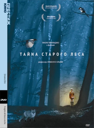Тайна старого леса в hd качестве