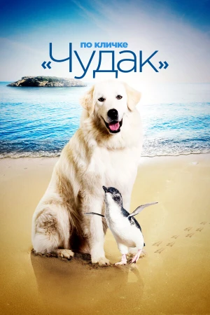 По кличке «Чудак» в hd качестве