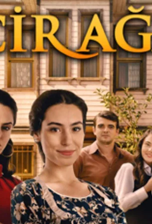 Фиговое дерево в hd качестве
