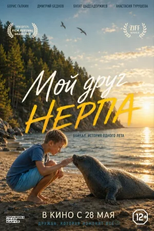 Мой друг нерпа в hd качестве