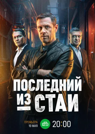 Последний из стаи в hd качестве