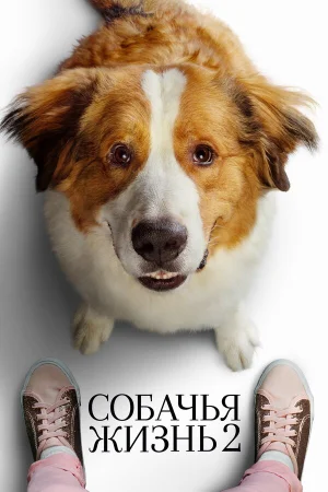Собачья жизнь 2 в hd качестве