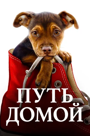 Путь домой в hd качестве