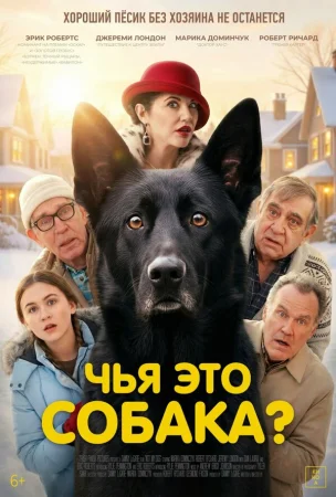 Чья это собака? в hd качестве